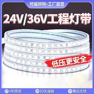 36v超亮工地隧道地下室工程户外照明24v防水灯条白光低压led灯带