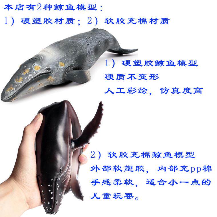 布氏中喙鲸具摆件露鲸长须oenux鲸龙鲸仿真模脊型蓝白灰鲸鱼王玩