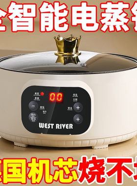 德国电煮锅全自动电炒锅多功能电饭锅家用电火锅蒸煮智能预约保温