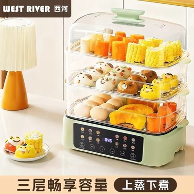德国电蒸锅家用一锅多用多层大容量蒸汽锅不锈钢多功能全透明蒸箱