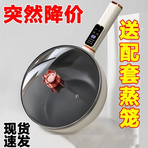 德国电炒锅爆炒一体炒菜锅多功能电煮锅家用大功率煎炒蒸煮电火锅