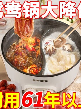 德国电火锅鸳鸯锅火锅多功能家用电热一体电煮双控大容量宿舍电锅