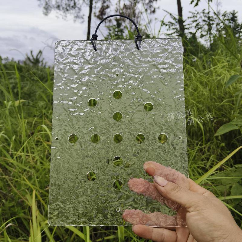 鹿角蕨亚克力背板挂板上板工具种植板亚猴二歧上墙蝴蝶兰石斛上板图片