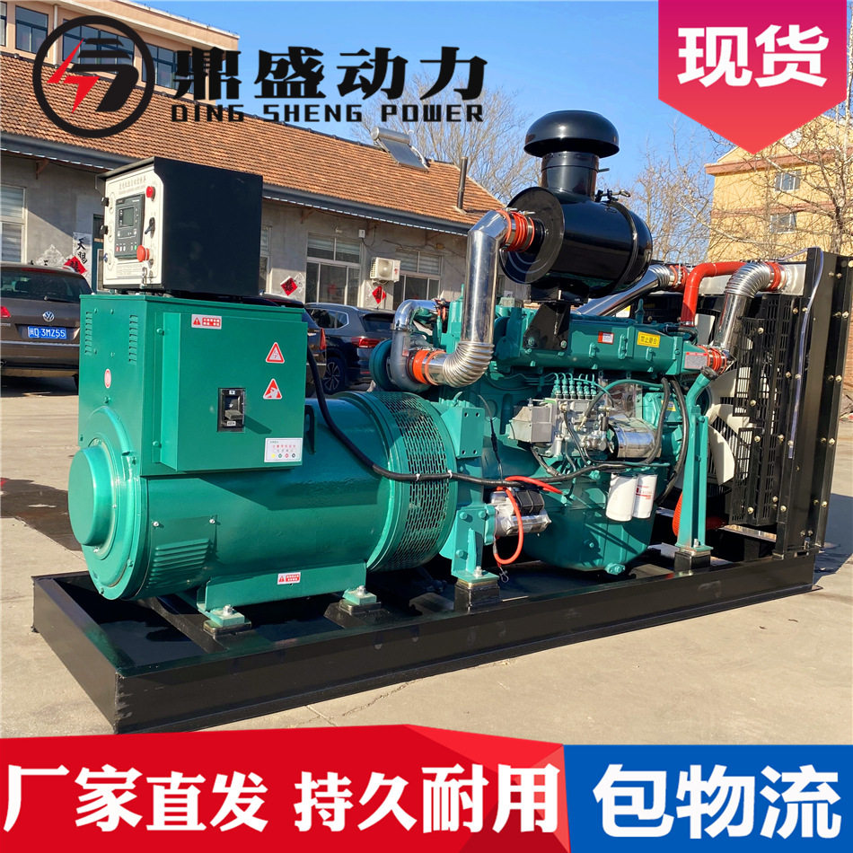 潍坊200kW四保护柴油无刷发电机