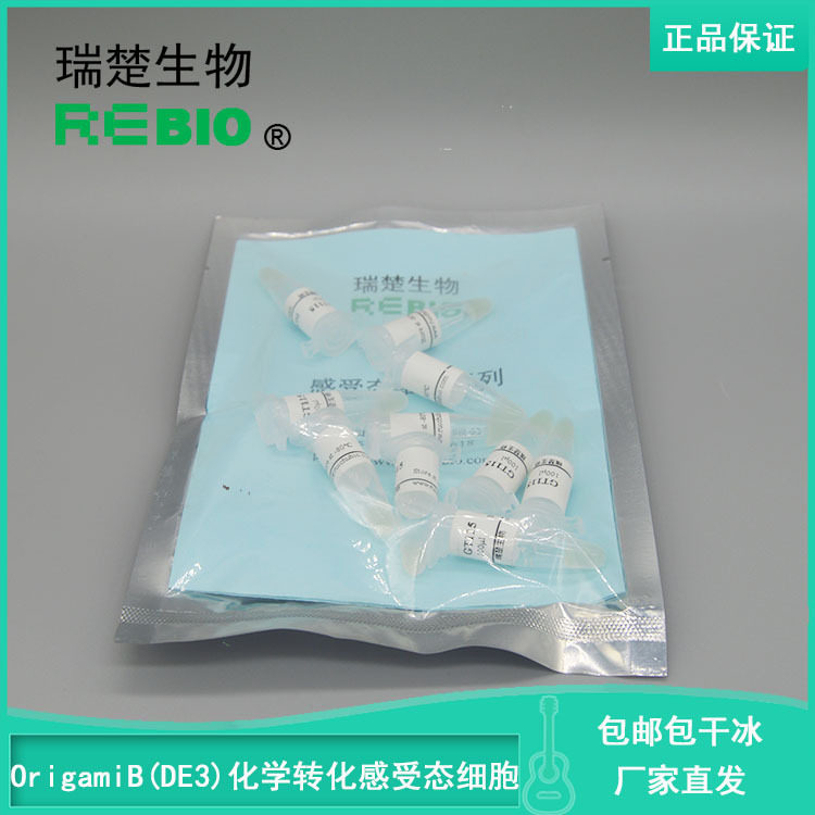 包邮包干冰OrigamiB(DE3)化学转化感受态细胞10×100μl科研用途