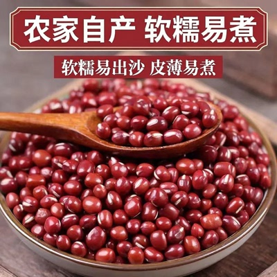 新货红豆五谷杂粮豆子农家自产红小豆豆沙粗粮赤小豆试吃50g