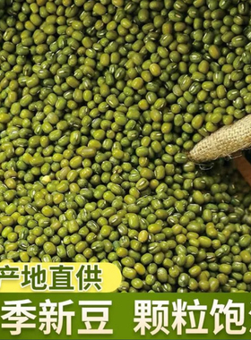 东北新货当季新货五斤绿豆汤粥解暑绿豆优质可发豆芽易出沙开花