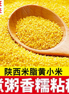 陕西黄小米正宗新小米农家自产颗粒饱满小米月子米小米粥新黄小米
