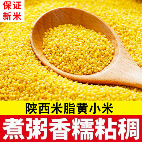 陕西黄小米正宗新小米农家自产颗粒饱满小米月子米小米粥新黄小米