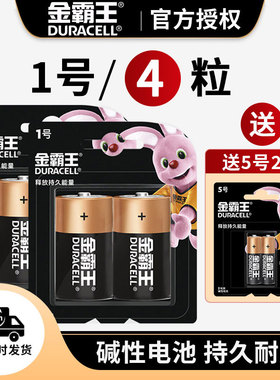 Duracell金霸王碱性电池大全5号7号1号2号9V正品批发七号五号中二号一号燃气灶大号热水器玩具空调遥控器电池
