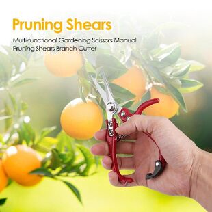 Multi-function Garden Scissors with Safety Buckle