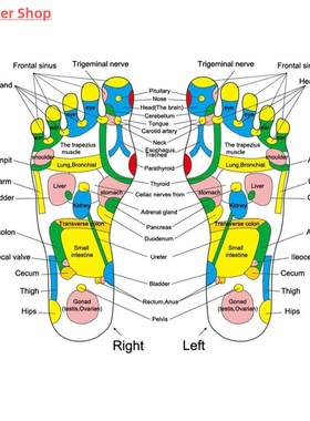 New Foot Massager Cushion Massage Mat Improve Blood Circulat