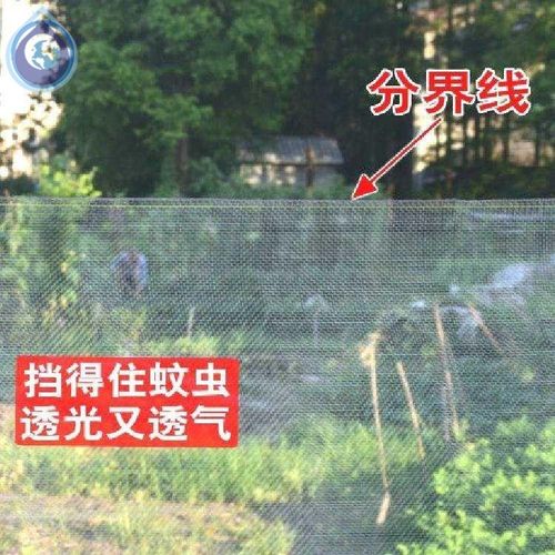 纱网窗户夏季铁网密封固定门框蚊子小孔防蚊网窗帘钢丝网铁丝网