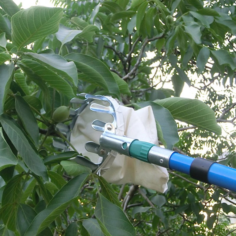 High Quality Metal Fruit picker Convenient Horticultural Fru