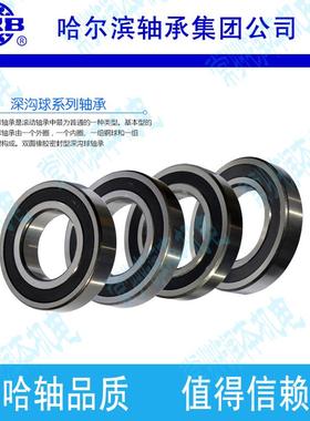 HRB 6307-2RZ 180307哈尔滨深沟球轴承 内径35mm 外径80mm 厚21mm