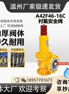 衬氟安全阀 弹簧微启式 A42F46-16C 泄压阀 法兰 耐酸碱防腐蚀