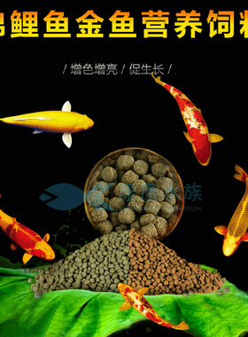 水族箱锦鲤鱼饲料池塘鱼食金鱼 锦鲤鱼食观赏鱼食鱼饲料500克鱼粮