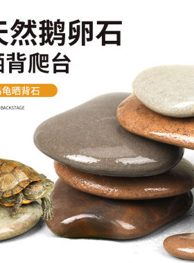 乌龟晒台天然原生造景用品鹅卵石乌龟缸扁平晒背爬台休息石头躲避
