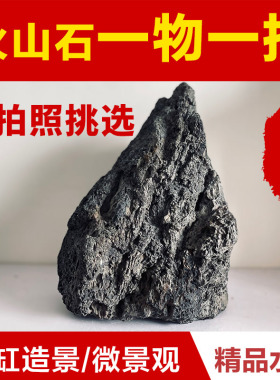 精挑黑色火山石造景大块草缸盆景摄影纯天然火山岩熔岩石拍摄道具