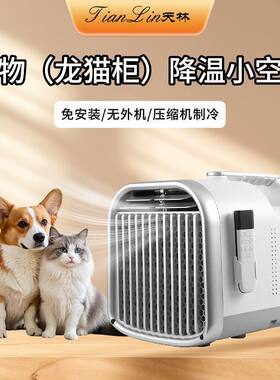 2026宠物空调降温神器龙
