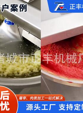 鱼丸肉糜斩切乳化机果蔬肉葱姜蒜仿人工剁馅机40型商用斩拌机