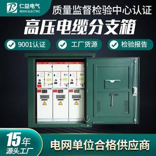 12户外环网柜10KV开闭所电缆分支箱生产厂家 高压电缆分支箱DFW