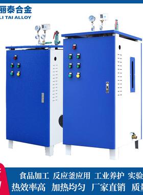 蒸汽发生器电加热工业中大型厂家水泥桥梁养护电锅炉全自动