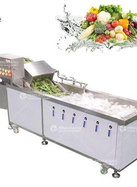 工厂直销WA-1000多功能洗菜机臭氧气泡清洗机