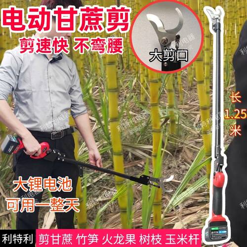 利特利加长1.25米电动甘