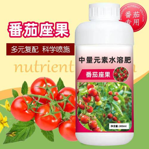 农家菜园菜地西红柿番茄肥料