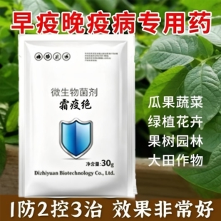 霜疫绝毒叶迎绿微生菌剂杀菌有效辣椒西红柿霜霉疫病春秋抗性持久