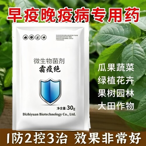 霜疫绝毒叶迎绿微生菌剂杀菌有效辣椒西红柿霜霉疫病春秋抗性持久