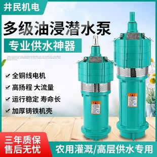 QD多级潜水泵家用220V高扬程小老鼠深井泵油浸泵80V农用灌溉水泵