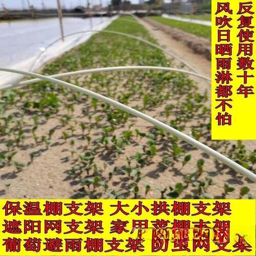 1000根拱棚大小支架保温棚菜棚花棚玻璃纤维杆蔬菜拱竿农用麦太保