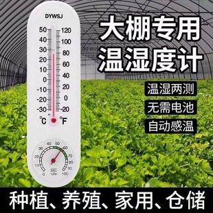 养殖专用温度计工业温湿度计高精度鸡场养猪场大棚农业家用室内
