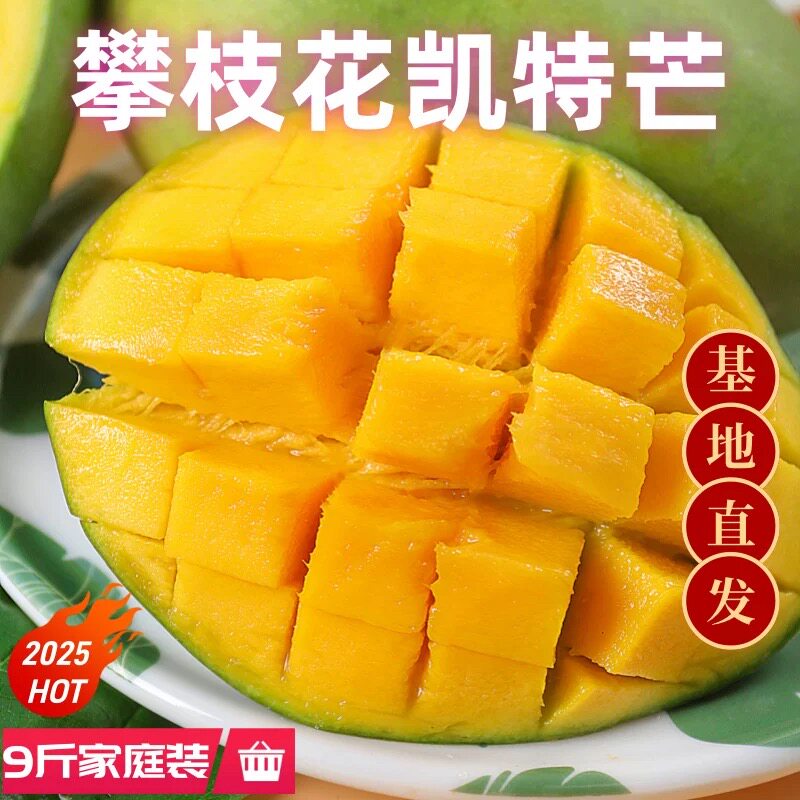 【下单立减50】四川攀枝花凯特芒当季新鲜甜糯多汁大脸芒