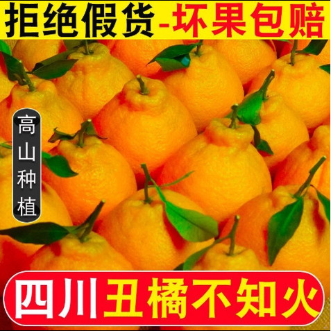 【下单立减50】（果大更甜）丑橘子酸爽丑八怪新鲜水果桔子应季