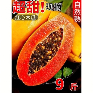 【下单立减50】(放软吃)广西正宗牛奶红心木瓜新鲜当季冰糖心