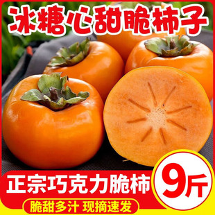 【下单立减50】正宗广西桂林巧克力脆柿冰糖心果越大更甜只做大果