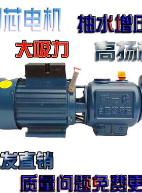 自吸水泵铜芯螺杆抽水压力罐2kw大功率家用无塔供水器增压循环泵