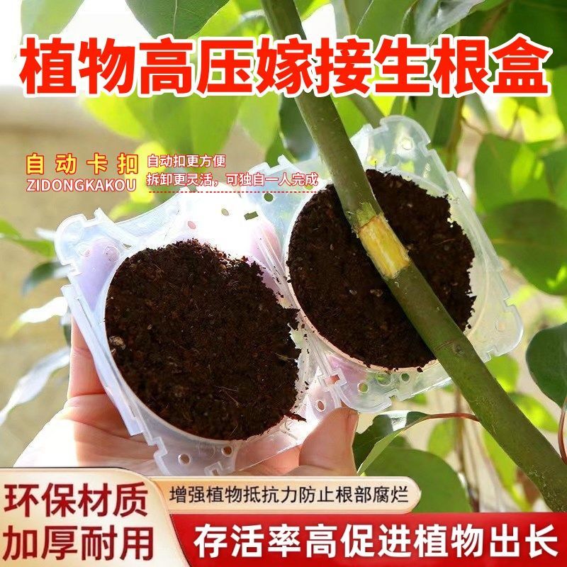 植物高压繁殖盒扦插嫁接生根器