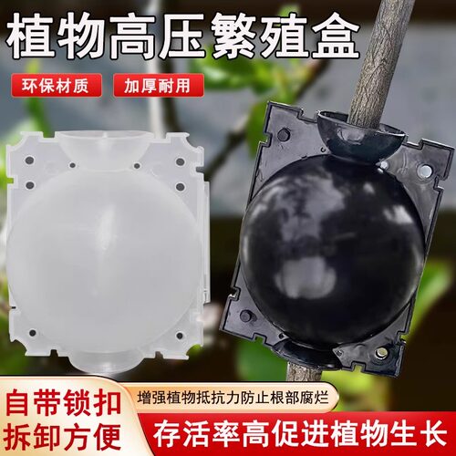 植物高压繁殖盒果树花木多功能扦插嫁接家用神器高空压条生根器