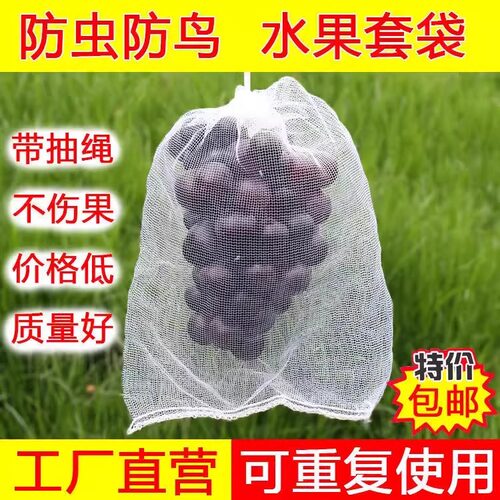 水果套袋防鸟通用袋瓜果防虫专用袋无花果枇杷葡萄桃子草莓育苗袋