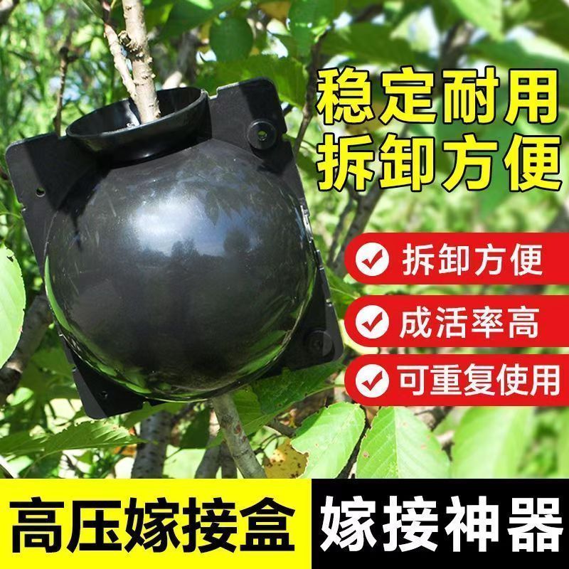 高压嫁接繁殖盒扦插育苗花木果树
