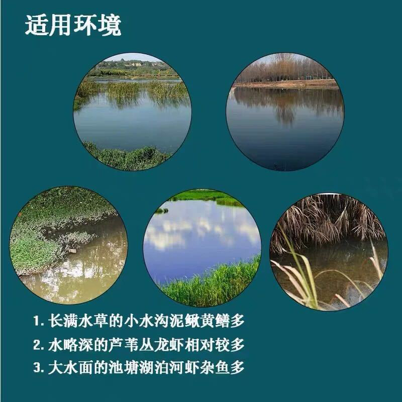 便携赛蚯蚓笼网小龙虾河虾鳝鱼诱饵综合颗粒饵料伞笼青虾料饵料球