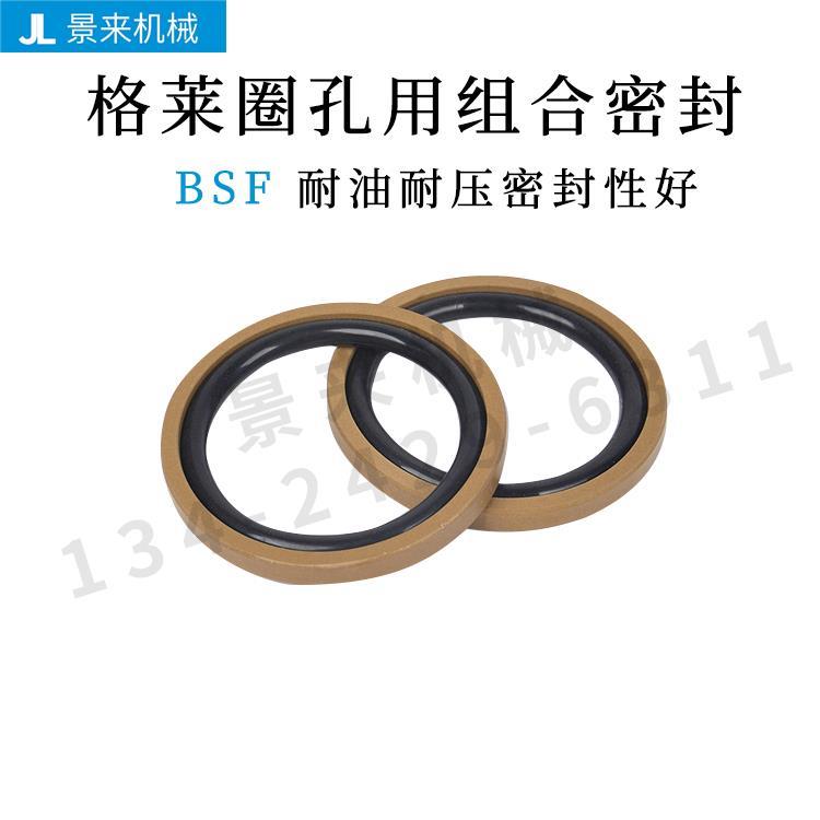 BSF16 18 20 22 25 28 30 32 35 38 40 45 50 55 56  孔用格莱圈