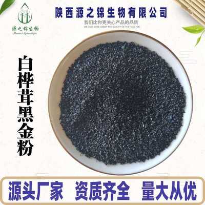 白桦茸黑金粉 水溶性多糖50% 白桦茸多糖桦褐孔菌黑金粉 厂家直销