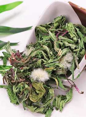 产地货 源中散婆装干XCU蒲公英茶 婆丁 蒲公英 量大 从优