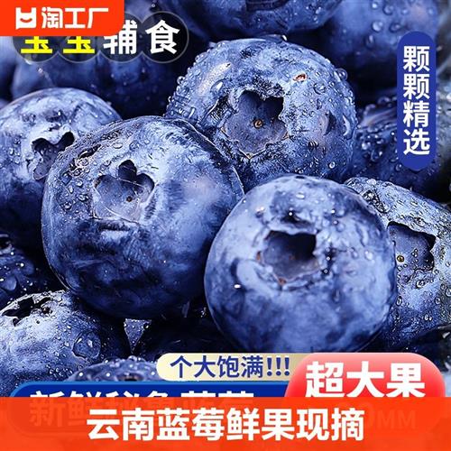 现摘现发云南蓝莓鲜果4盒当季新鲜孕妇水果宝宝辅食特大大果 水产肉类/新鲜蔬果/熟食 蓝莓 原图主图