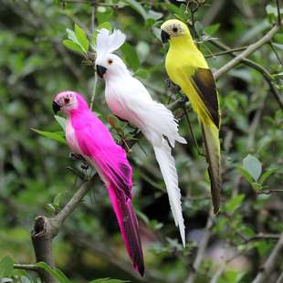 25CM仿真羽毛鹦鹉园艺森系树枝爪子铁丝捆绑家居田园装 饰金刚鹦鹉